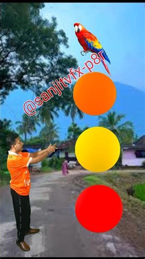 Crow, hen, parrot, bird & pigeon from head -Funny vfx magic