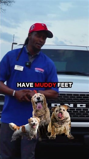 What's The BEST Car For Dog Owners? 🤔