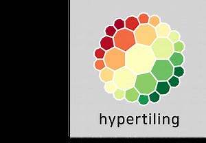 The HYPERTILING project