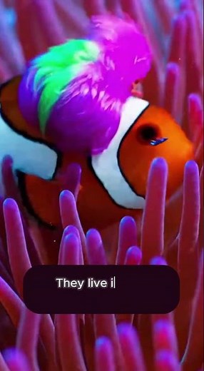 This Fish Can Change Its Gender Clownfish Facts