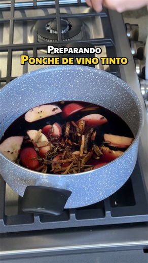 Pao Castillo✨ on Instagram: "Vino Caliente. Una bebida casera perfecta para el frío😍 #bebidas #invierno #receta #lovienfacebook"