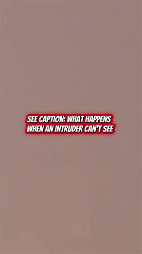 Nichelle Laus on Instagram: "😶‍🌫️ When people hear “security fog” or “smoke screen,” they assume it’s complicated - it’s actually one of the fastest deterrents available. Here’s how it works 👇 If an intruder alarm is triggered - or the remote button is pressed - the fog machine instantly releases a dense, non-toxic fog into the space. Within seconds, visibility drops to near zero. 🚫 No visibility = no theft. Intruders can’t see, can’t navigate, and can’t steal what they can’t see. Most retre