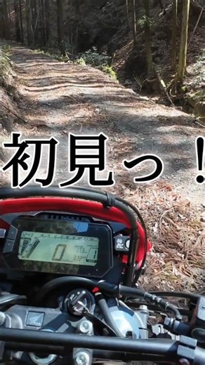 最強CRFで挑む廃林道！！