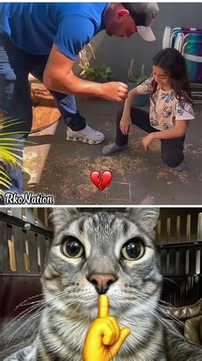 #nivetadhingramusic 🤣