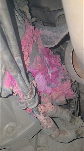 💗 Pink coolant everywhere! Toyota Land Cruiser leak inspection in progress. 🔧 #mechanic