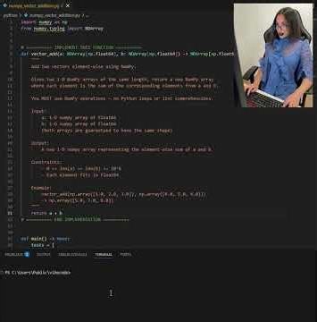 vibecoding with elara: vector addition (numpy) in python