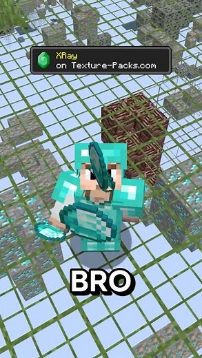 🥇 Best XRay Texture Pack for 26.1