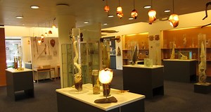 Phallological Museum