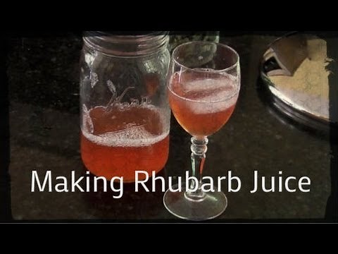 Making Rhubarb Juice