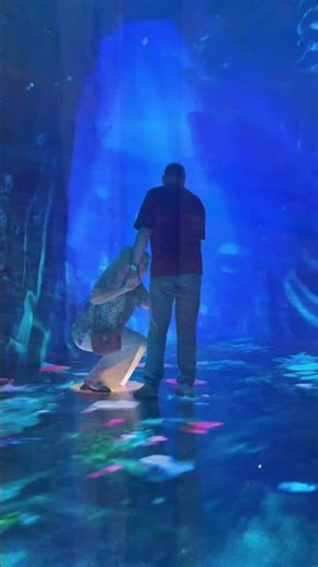 A moment away from reality, a step into wonder