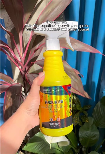 Effective Flies Repellant Spray for a Clean Home