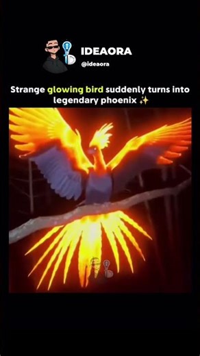 Strange Glowing Bird Suddenly Turns IntoLegendary Phoenix ✨