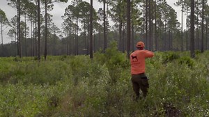 3.3K views · 34 reactions | Seven hundred sixty four seasons have...