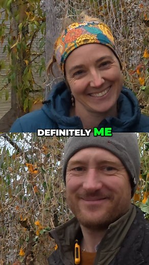 The 2025 Kilcher Potato Weigh-Off Begins! 🏆🥔 The moment of truth: time to dig up the potatoes we planted this spring 🥔🌱 Spoiler: there are buckets. Head to our YouTube channel to see the BIG REVEAL! #PotatoHarvest #KilcherLife #HomesteadFarming #FallDig #RootTreasure | Eivin and Eve Kilcher
