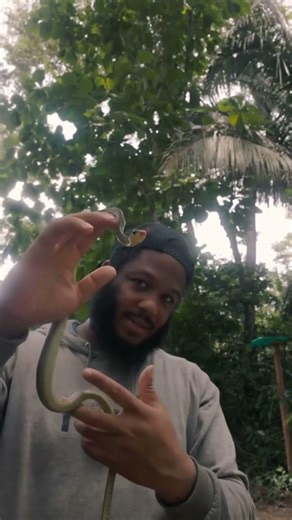 It’s all about energy ! #explore #reptiles