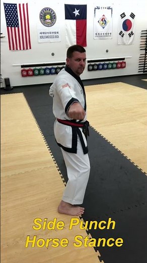 Side Punch in Horse Stance for Tang Soo Do #shorts