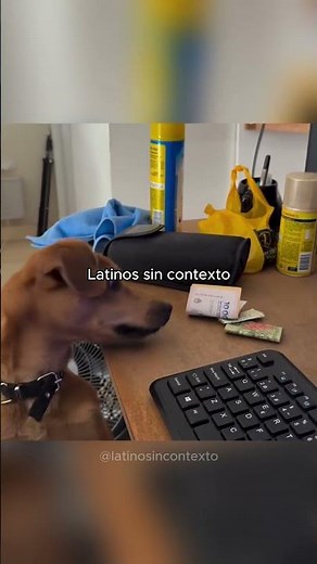 Cap 70/ Síguenos ❤️#fyp #parati #paratii #latinos #fypシ