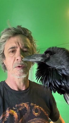 Meet Sam the Raven: A Unique and Beautiful Pet Bird