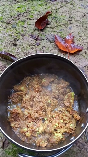 Bushcraft Lunch in a Foggy Forest 🔥 #shorts #bushcraft #cooking
