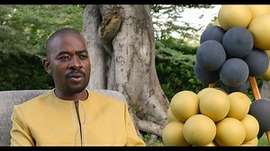 57K views · 2.4K reactions | Pres Nelson Chamisa Shona Version, Interview as he turns 45 years | TechMag.TV | Facebook