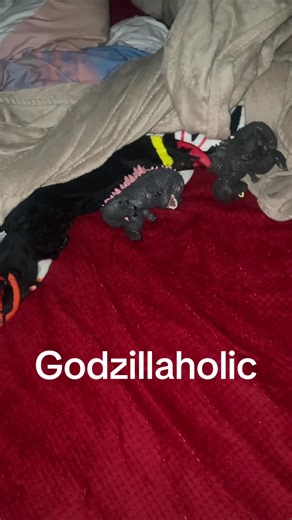 Exploring My Extensive Godzilla Collection