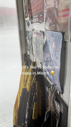 Denny Halstead on TikTok