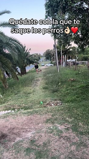 #galgosuruguay #paratii