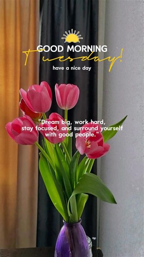 Good Morning, Tuesday. Have a nice day. | Gifs, Vids & Music Etc