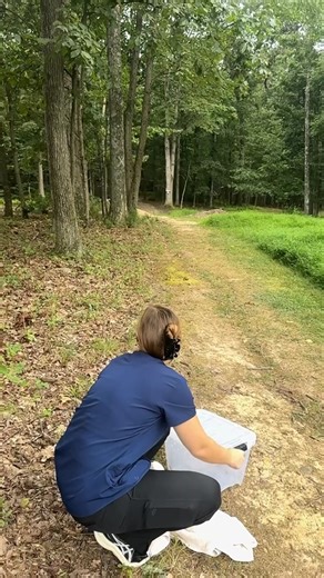 19K views · 792 reactions | This adult Eastern Cottontail got a lucky...