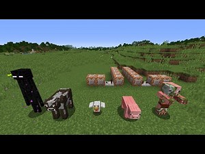 Advanced Commands Tutorial: Who Won The Game?