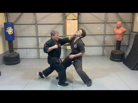 Kenpo Karate: Five Swords + Extension | Jamie Seabrook