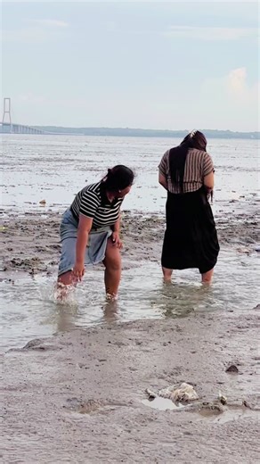 Belanja Alat Tulis dan Peralatan Rumah Tangga di AIO Store