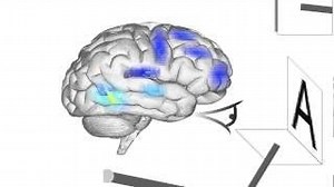 Introducing Spaun — the world's largest functioning model of the human brain