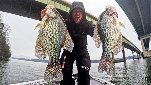 Finding big crappie schools with Livescope