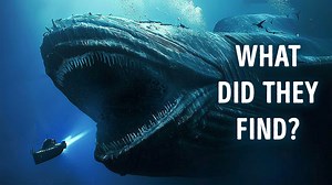 20K views · 204 reactions | Did We Finally Solve The "Wow!" Signal Mystery? | Bright Planet | Facebook