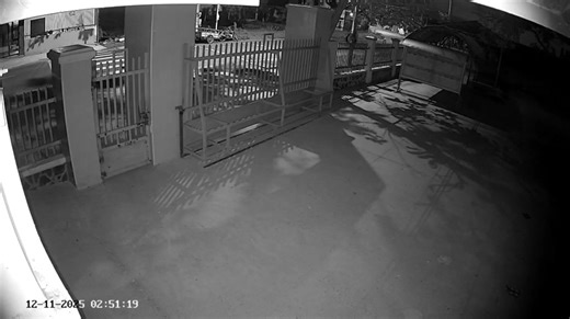 Lâm Linh Vy on Reels