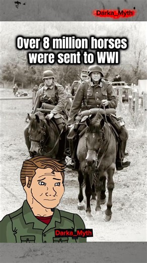 The Silent Sufferers of World War