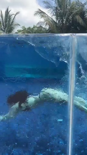 let’s swim
