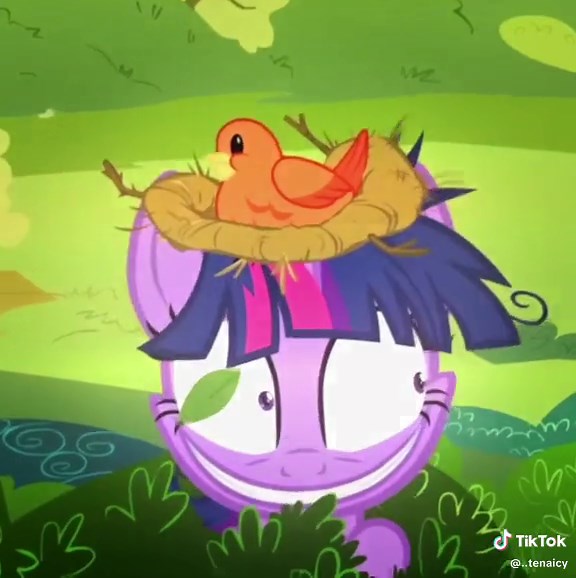 Crazy Twilight Sparkle Compilation | MLP Edits