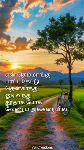 நான் ஏரிக்கரை மேலிருந்து... 🌾 80s/90s Evergreen Status | VS Creations #TamilSongs