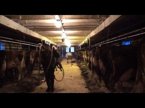 Women Farmers In Northern New York