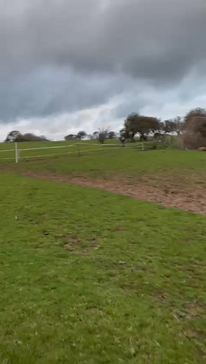 Here she is! Little Miss Chatterbox! | The Adventures of Bella & Emily by Michelle Holland - Author