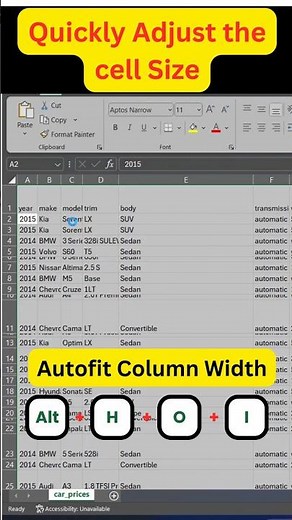 Excel Shortcut: Instantly Autofit Columns and Rows! #excel #exceltricks #exceltutorial #howto