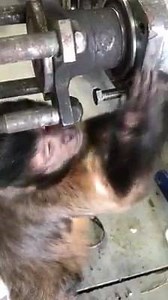 69K views · 707 reactions | Ford mechanics trying to teach the Holden crew how it's done. | Forced Ford Forum | Facebook