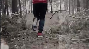 ❌The Cross Country Xperience is back❌ 📅Sunday October 15th 2023 @ 4pm 📍Cross Country Course at Sport Ireland Campus 🏃‍♂️🏃‍♀️4km route which is suitable for all abilities👍 🏅Eco-friendly medal at the finish 🎫Register today: https://eventmaster.ie/event/9b7ptw5HWJ | Athletics Ireland