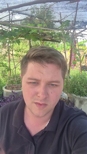 TacticalLawnGnome (@tacticallawngnome)’s videos with original sound - TacticalLawnGnome