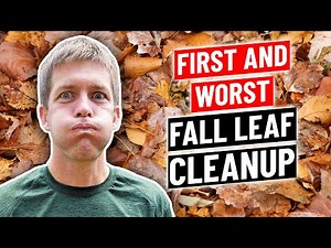 Leaf Clean up with a Mower and Blower (So Easy)