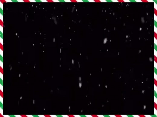 Link in Bio #etnation #fyp #couplegoal