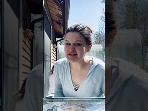 Reading Time "The Alien Next Door: Aliens For Dinner" by A.I. Newton chapters 5-6