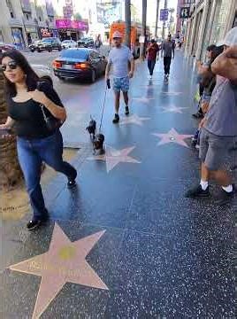 Walking in Hollywood | 02 | 03/08/26